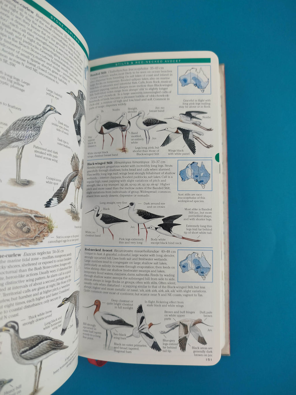 Field guide to Australian Birds by Michael Morcombe
