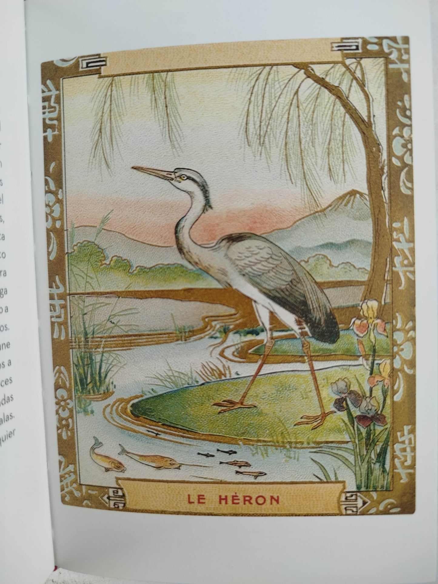 El Pequeño libro de las Aves by Anne Jankeliowitch
