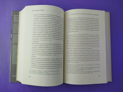 Obras completas IX. Misterio y hermenéutica