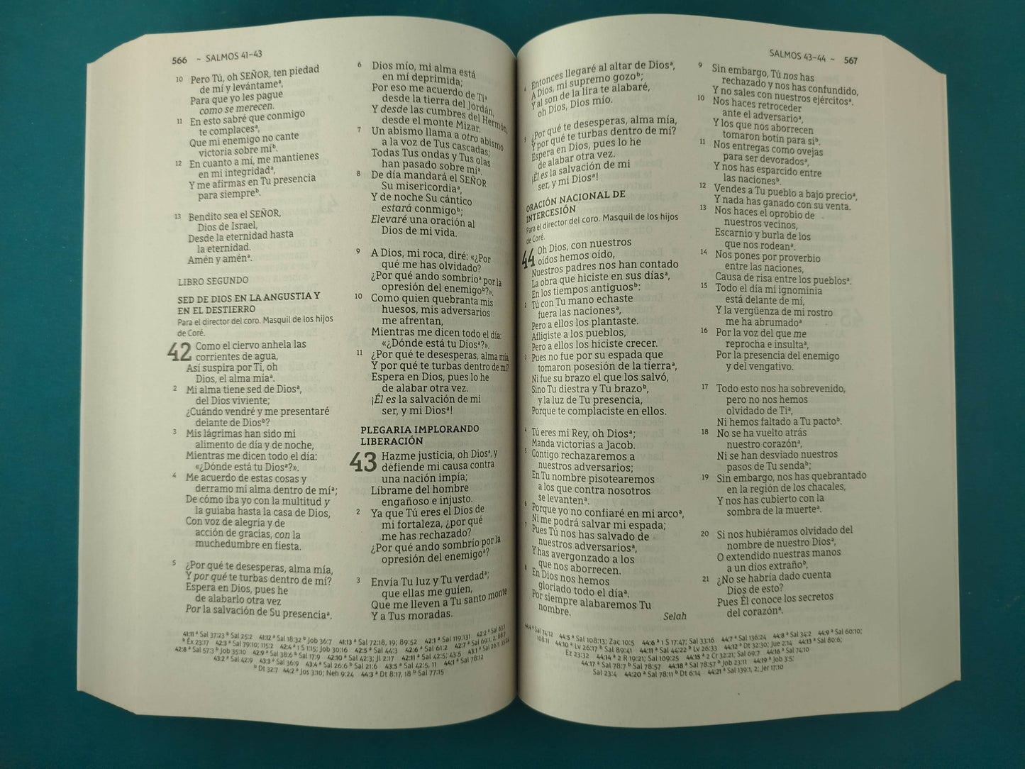 Santa Biblia Nueva Biblia de las Américas Letra Grande Tapa Rústica