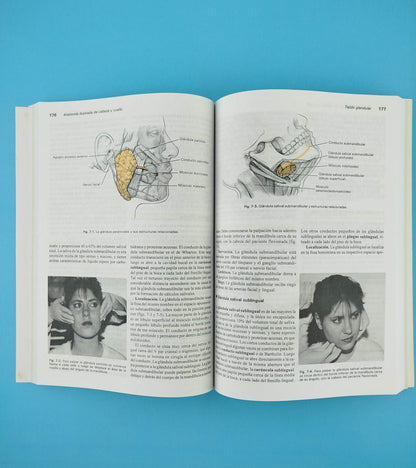 Anatomía ilustrada de cabeza y cuello