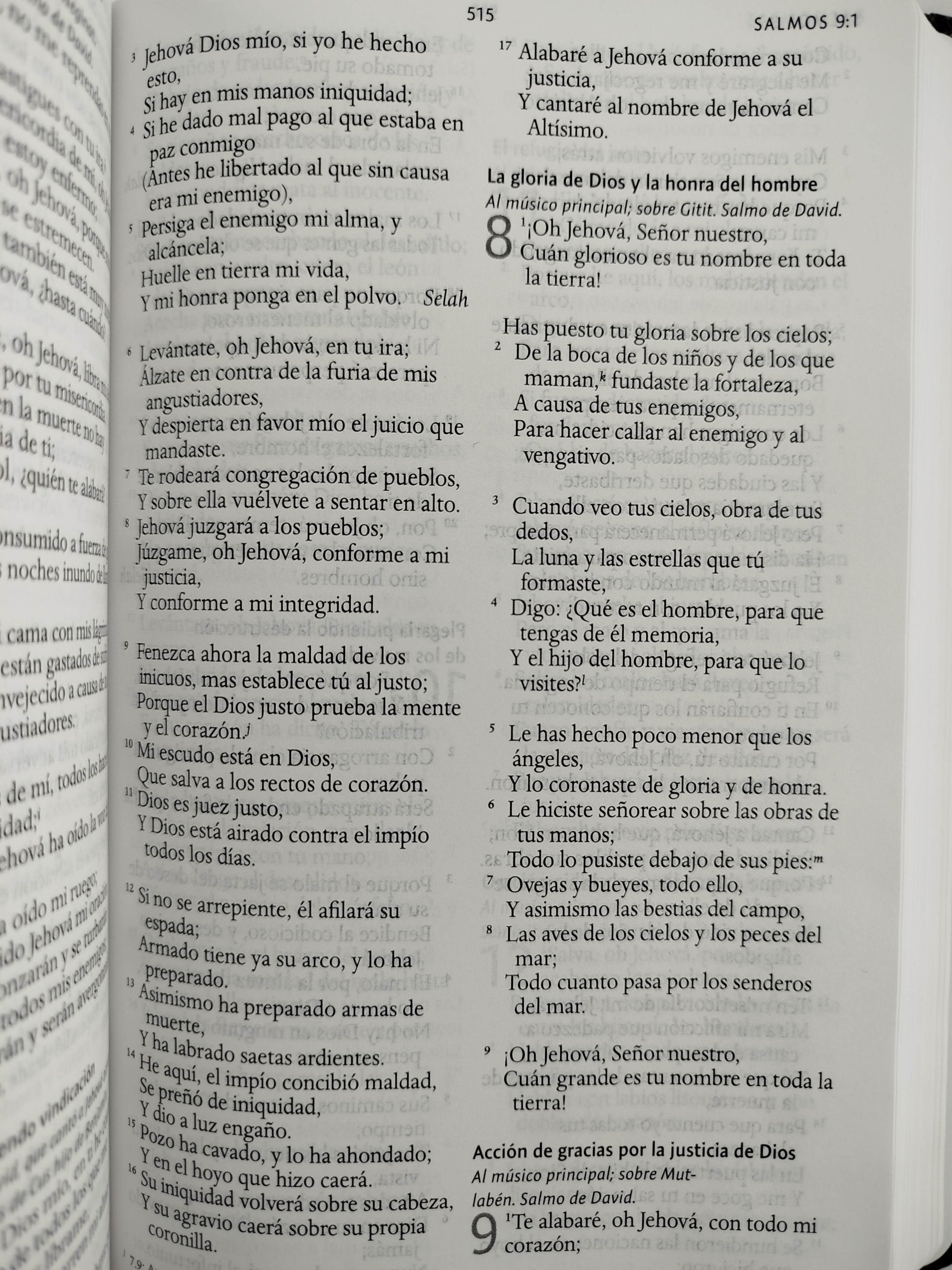 Biblia rvr 1960 letra grande tamaño manual tapa dura león de judá con imágenes de la tierra santa by Reina Valera 1960