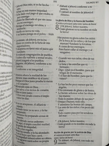 Biblia rvr 1960 letra grande tamaño manual tapa dura león de judá con imágenes de la tierra santa by Reina Valera 1960