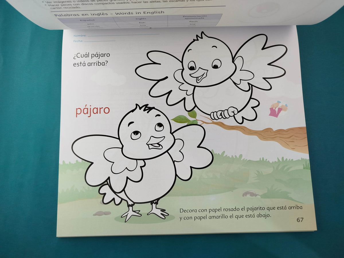 Pinturitas frescas Libro integrado B by Carlos Ortiz Villamizar