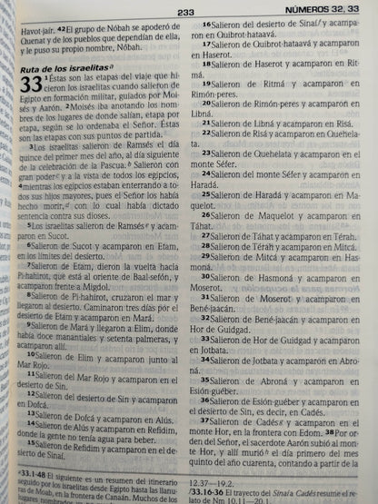 Biblia Dios habla hoy de estudio by Dios habla hoy