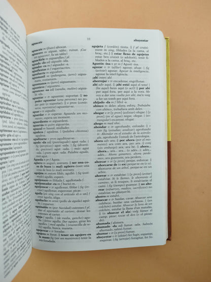 Diccionari Català-Castellà