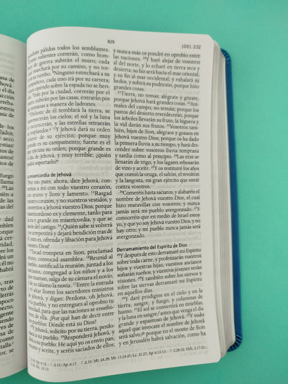 Biblia rvr 1960 letra grande tipo agenda azul sin cierre borde plateado e imágenes de la tierra santa tamaño manual