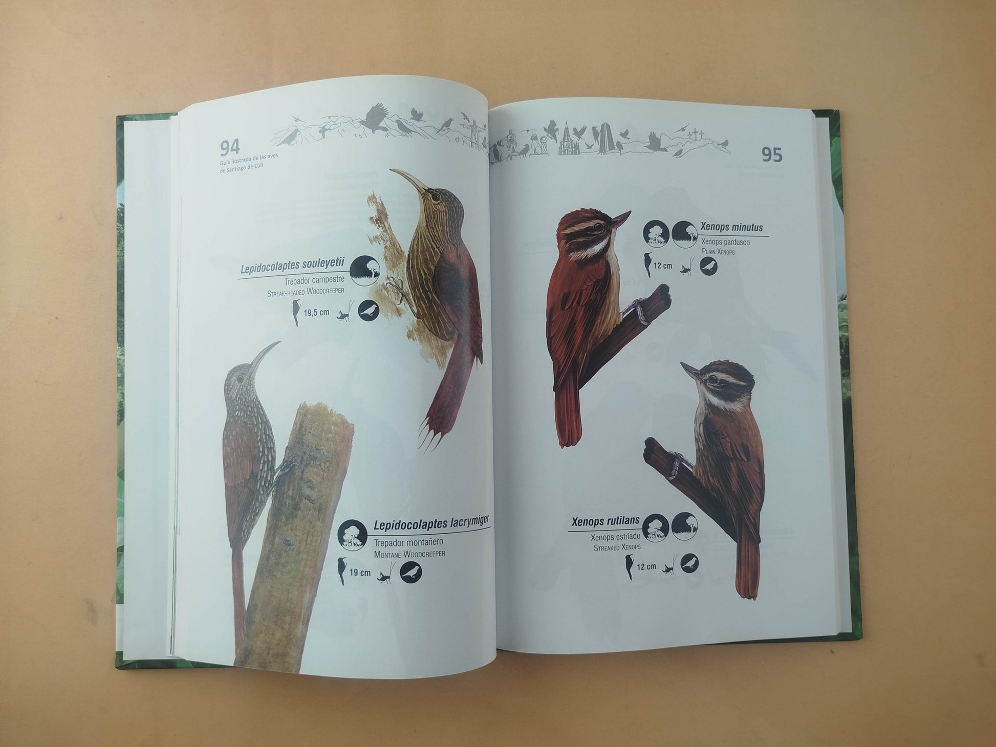 Guía ilustrada de las aves de Santiago de Cali by Varios