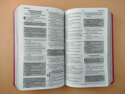 Biblia promesas fucsia canto plateado sin cierre