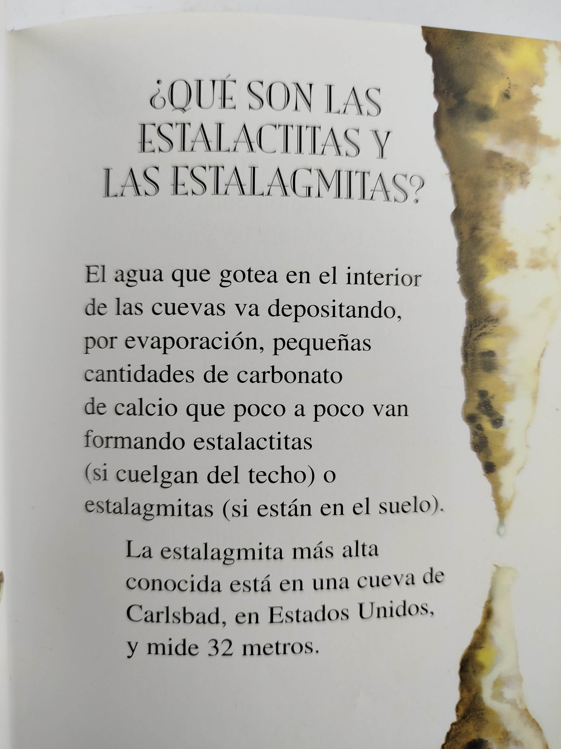 250 preguntas y respuestas by Isabel Reviejo