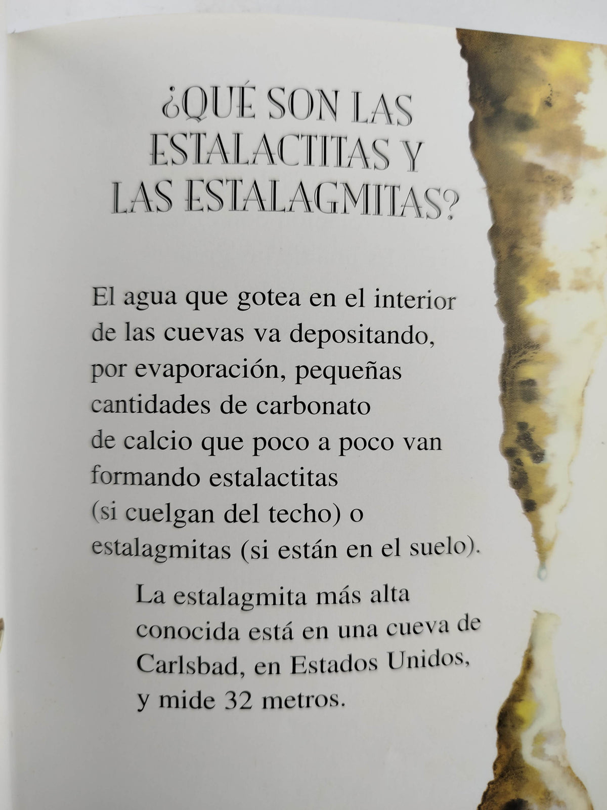 250 preguntas y respuestas by Isabel Reviejo