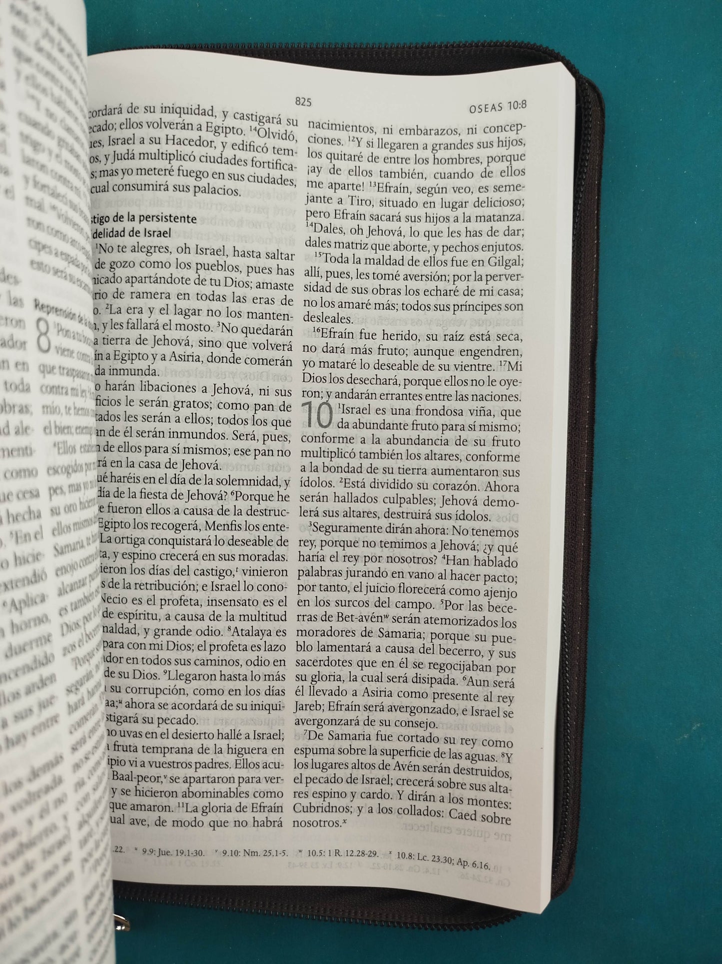 Biblia rvr 1960 letra grande estuche café