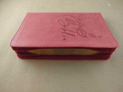 Biblia rvr letra grande salmón borde dorado