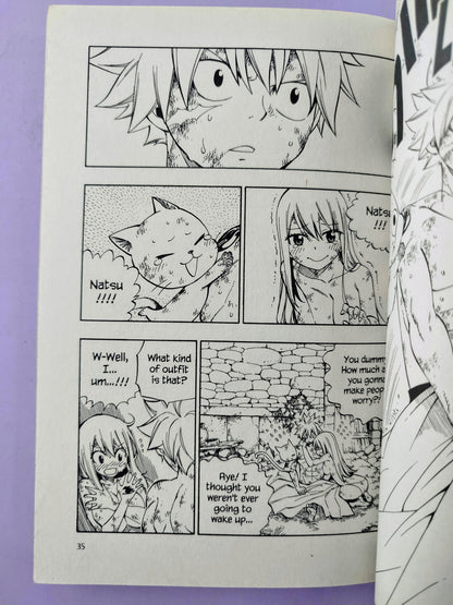 Fairy tail N.61