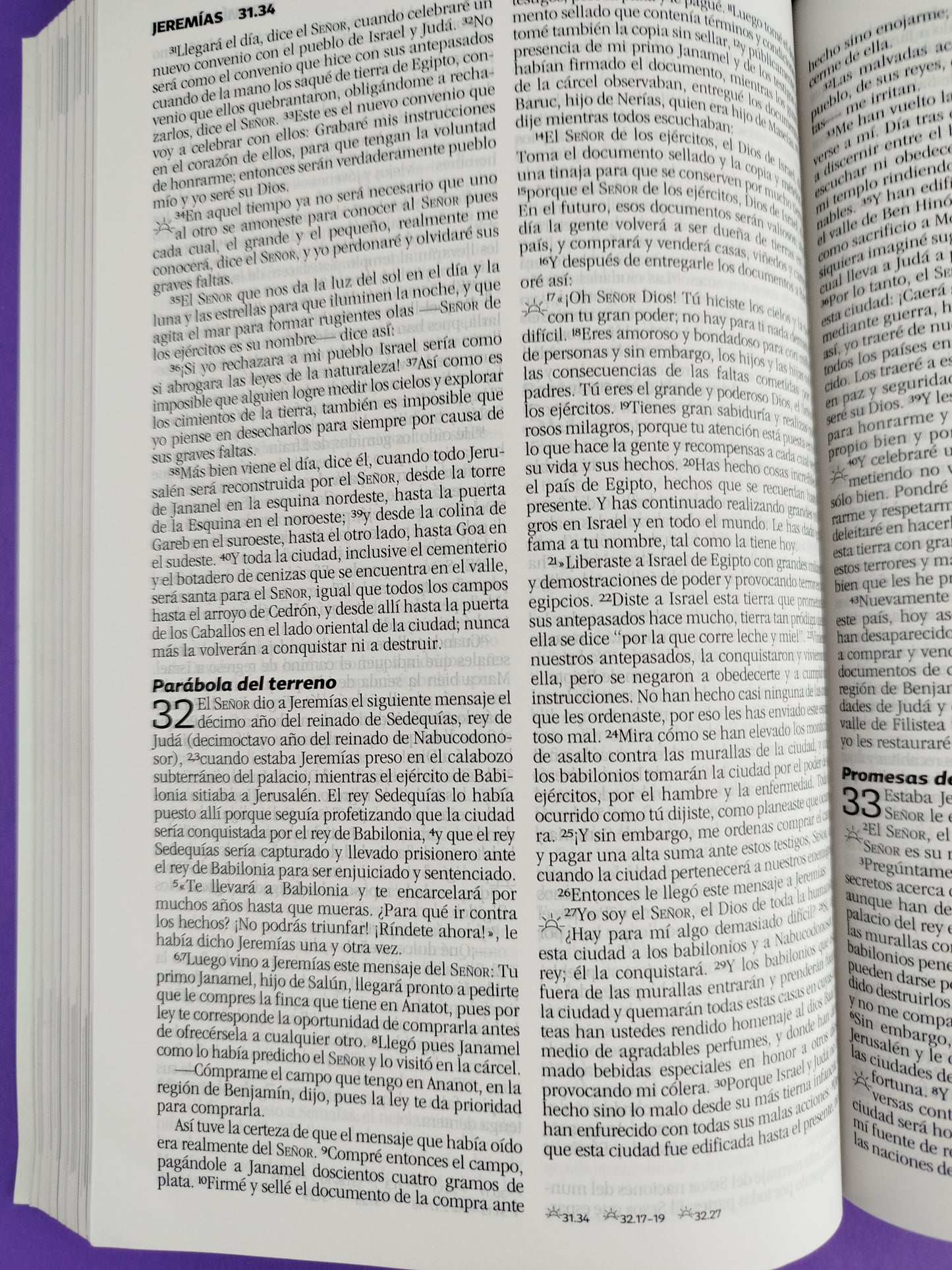 Biblia para lideres de adolescentes NBV