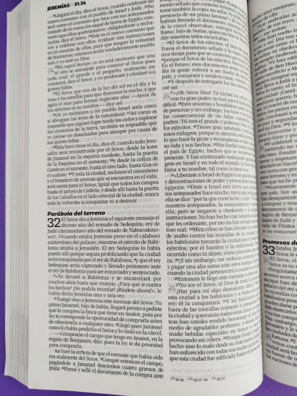 Biblia para lideres de adolescentes NBV