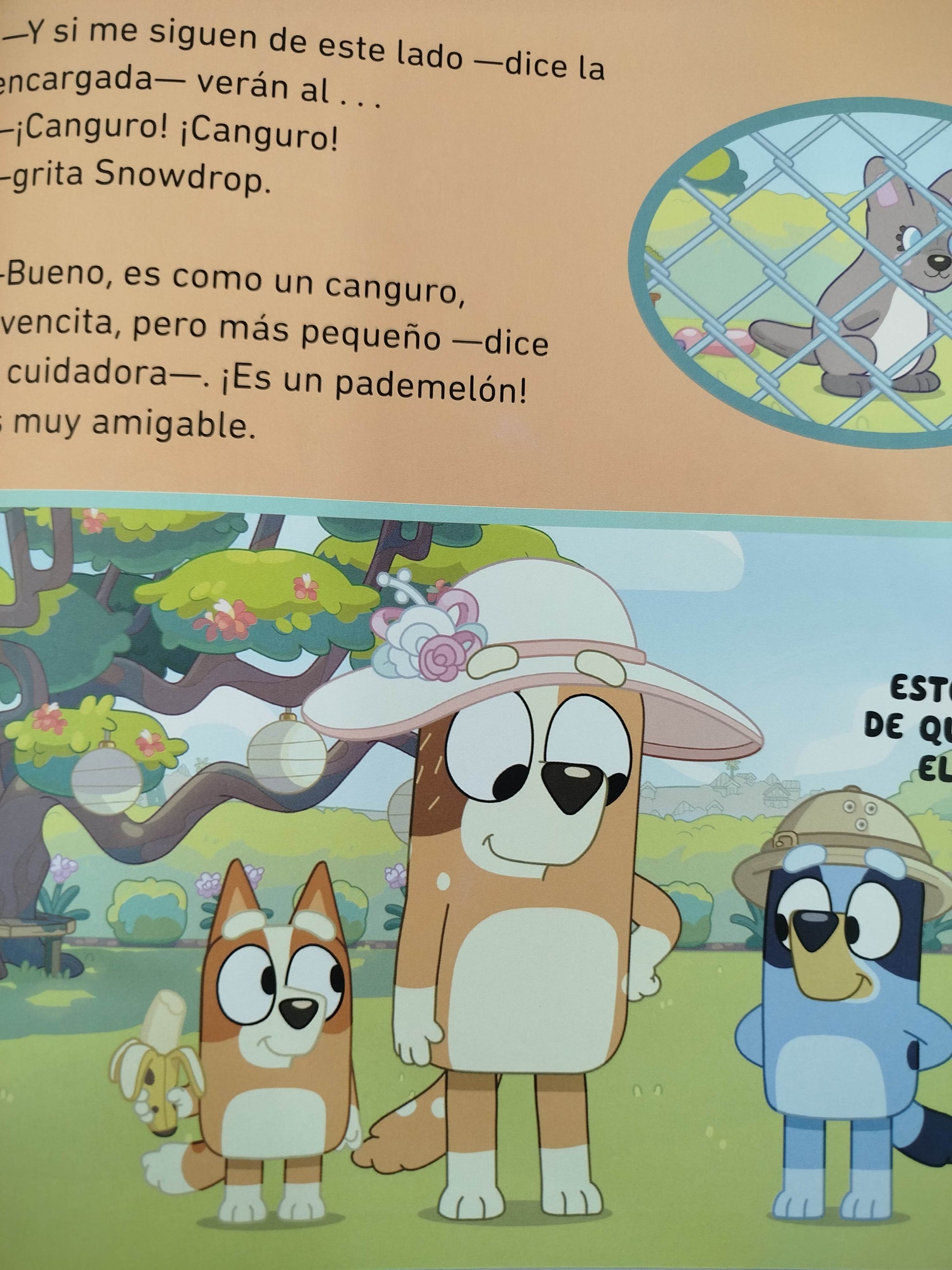 Bluey Zoológico by Bluey