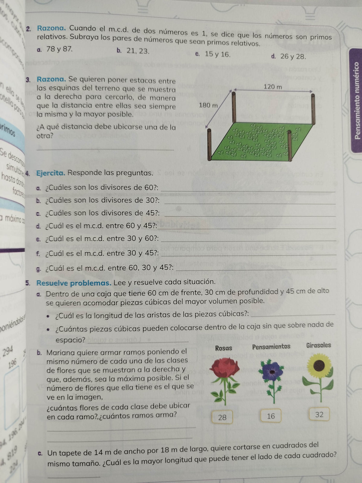 Ideas matemáticas 5 by varios