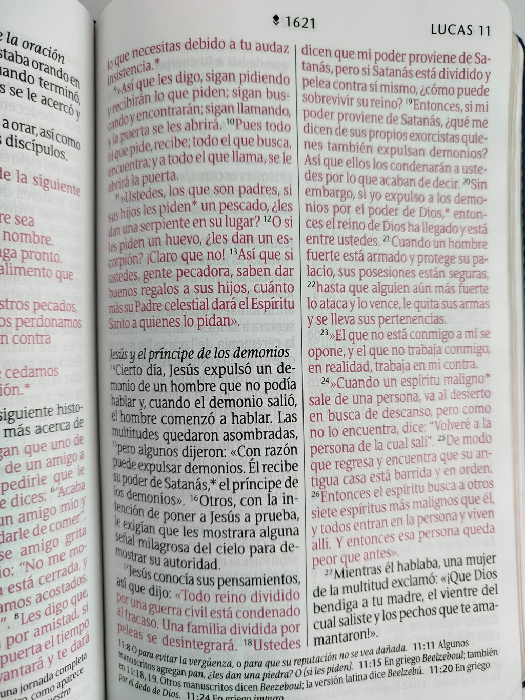 Biblia NTV azul flores letra grande by Nueva Traducción Viviente