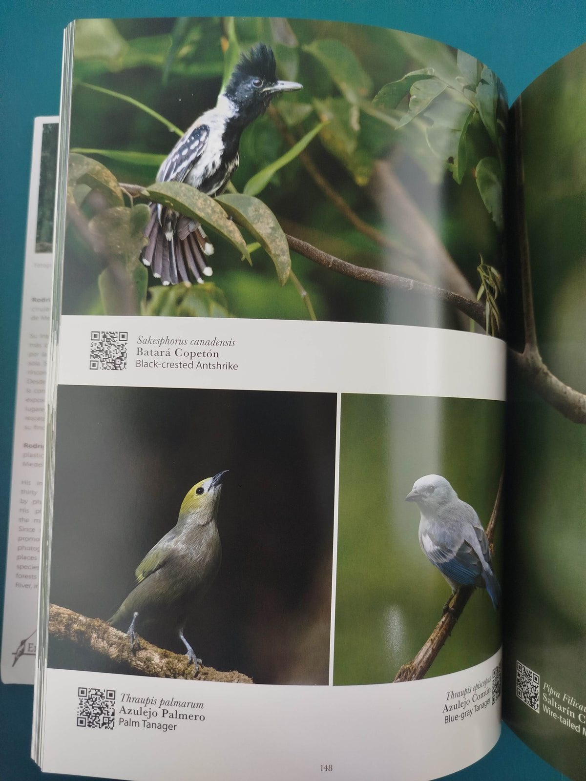 Las Aves Más Hermosas De Colombia by Rodrigo Gaviria Obregon