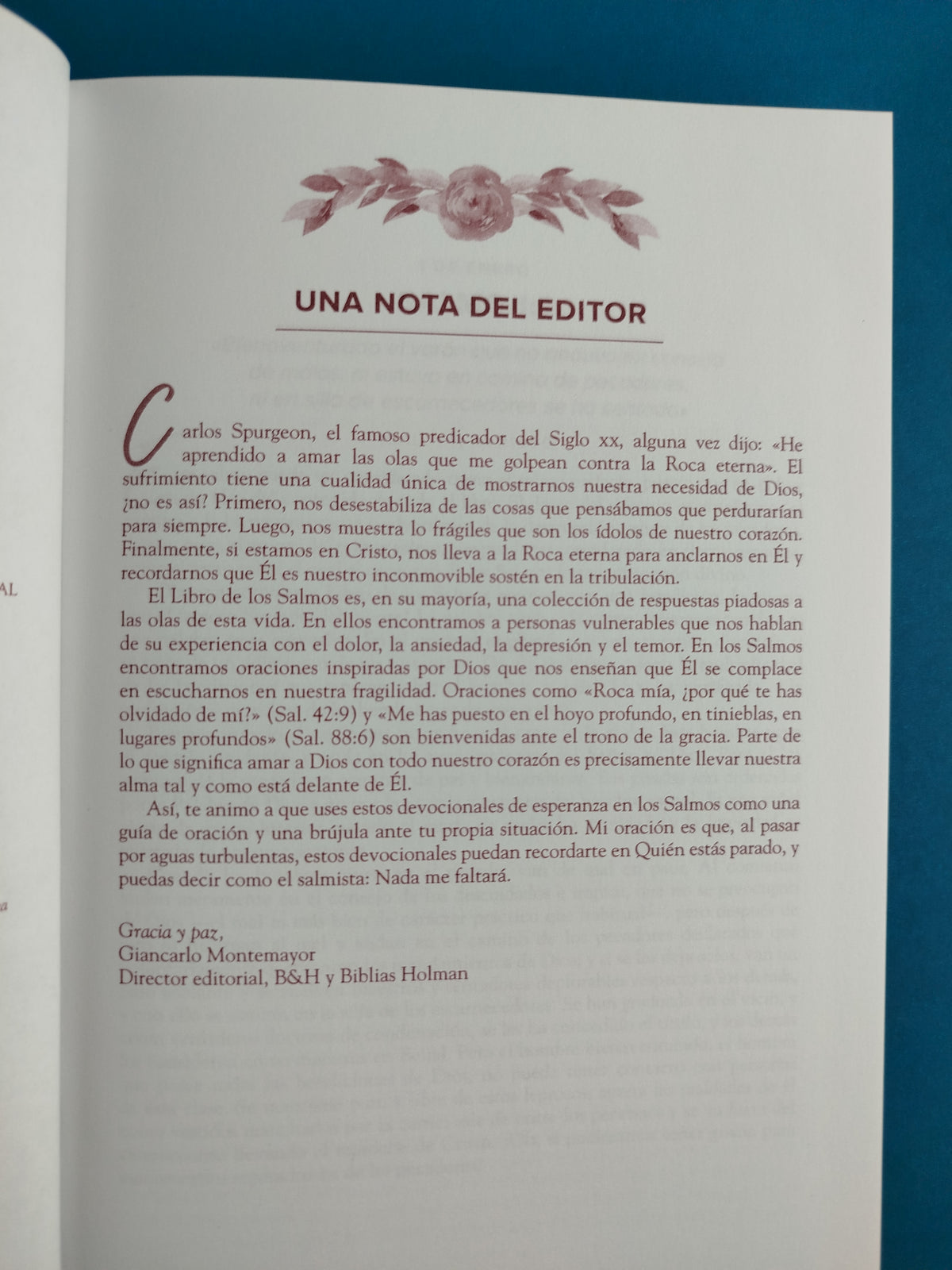 Un año en los salmos by Varios