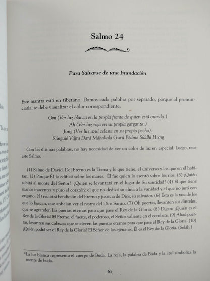 El poder milagroso de los salmos by Luz Stella Rozo