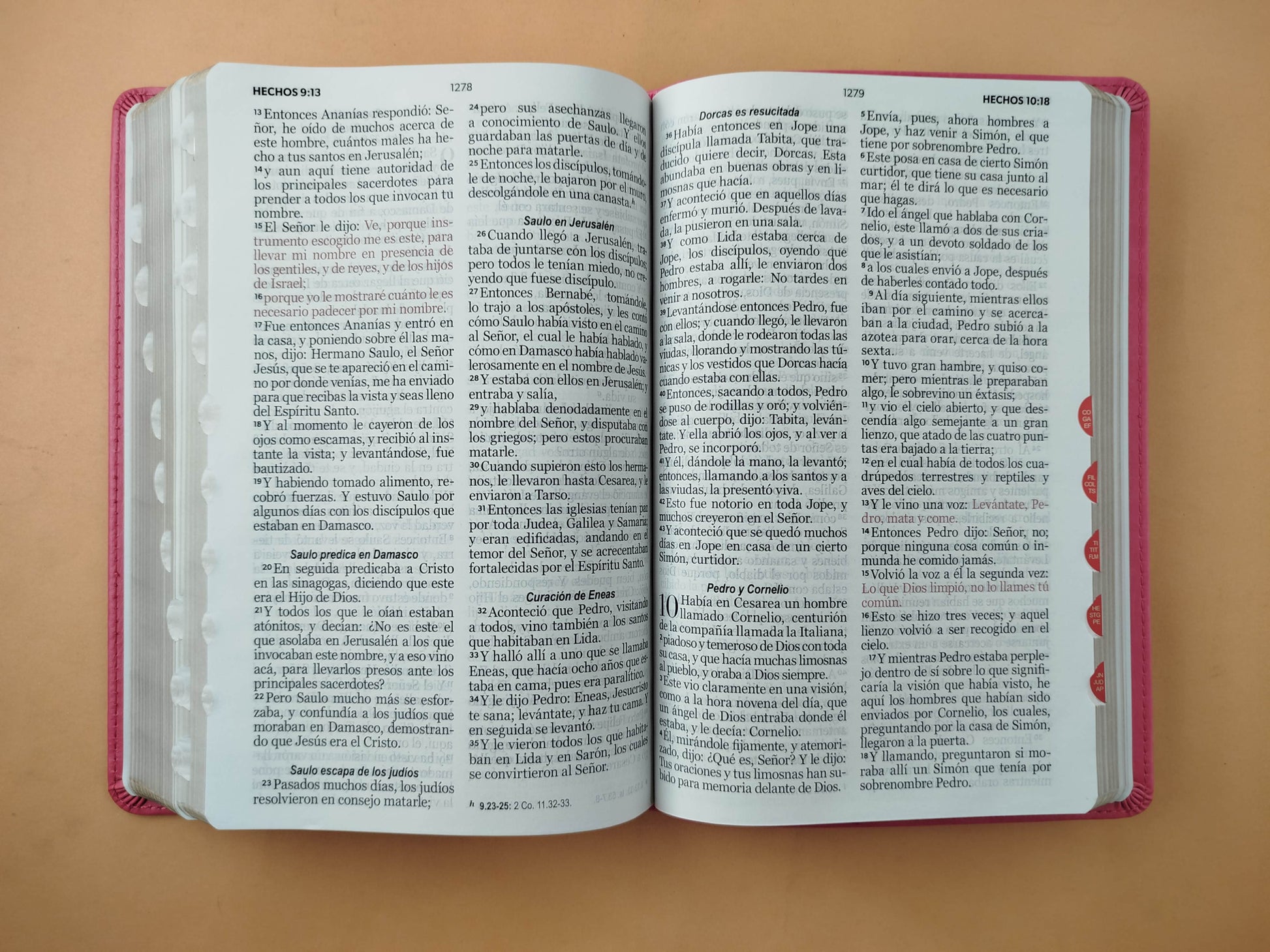 Biblia rvr 1960 clásica fucsia con borde dorado e índice by Reina Valera 1960