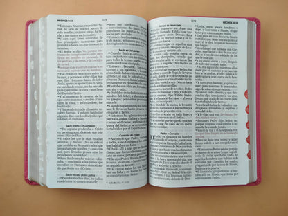 Biblia rvr 1960 clásica fucsia con borde dorado e índice by Reina Valera 1960