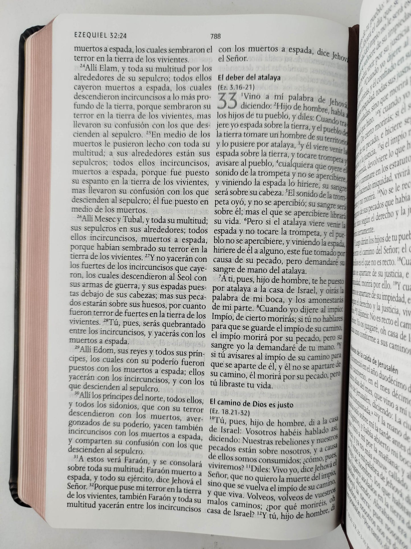 Biblia RVR 1960 Letra grande León de Judá edición especial bronce by Cipriano Valera