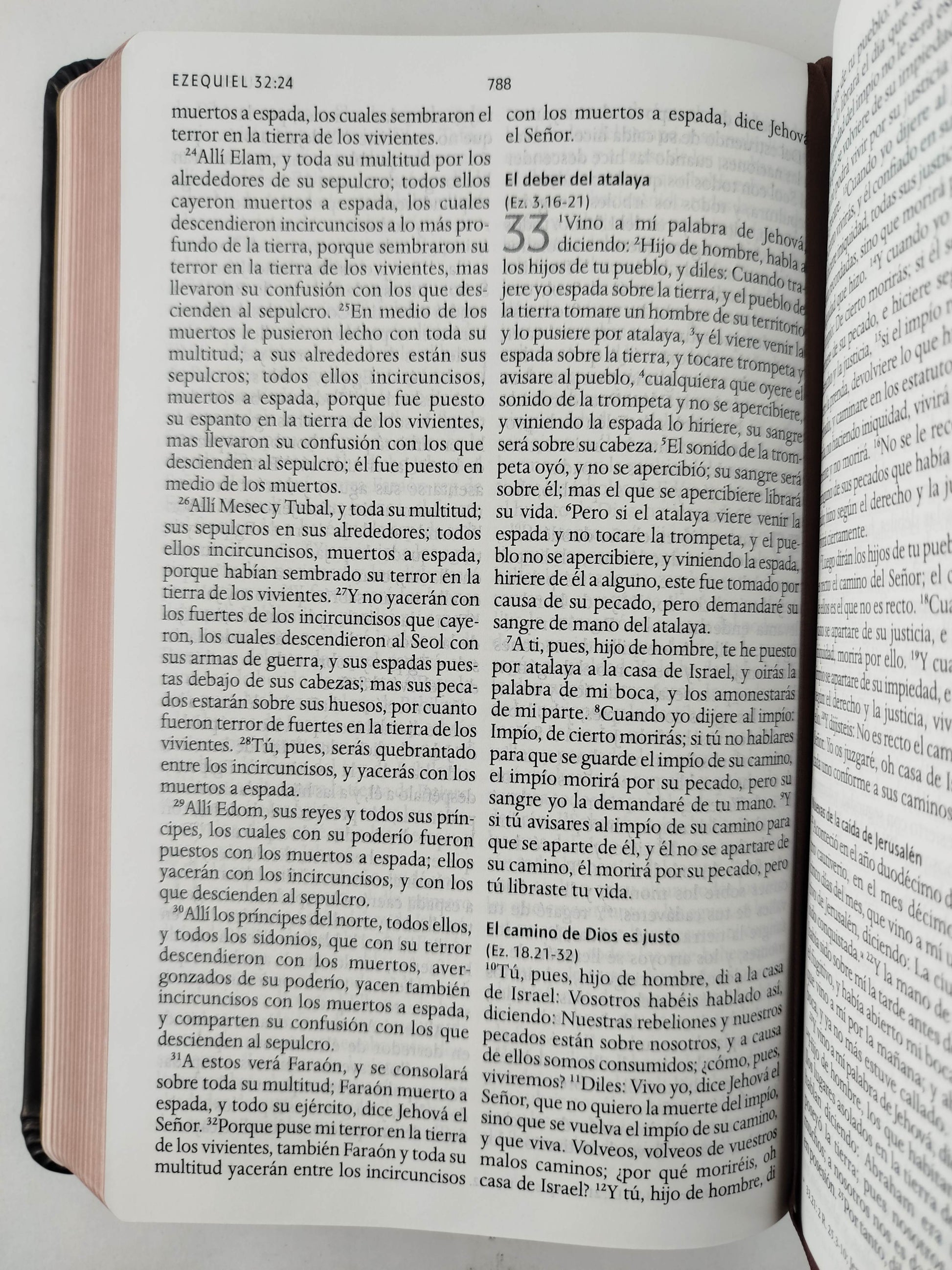 Biblia RVR 1960 Letra grande León de Judá edición especial bronce by Cipriano Valera