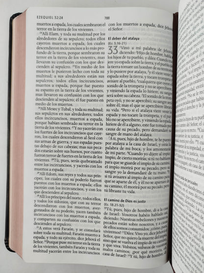 Biblia RVR 1960 Letra grande León de Judá edición especial bronce by Cipriano Valera
