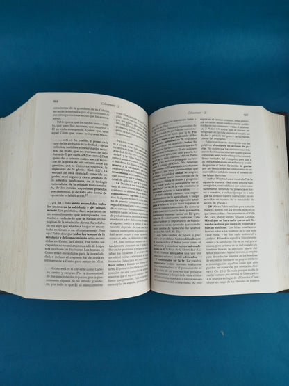 Comentario al nuevo testamento