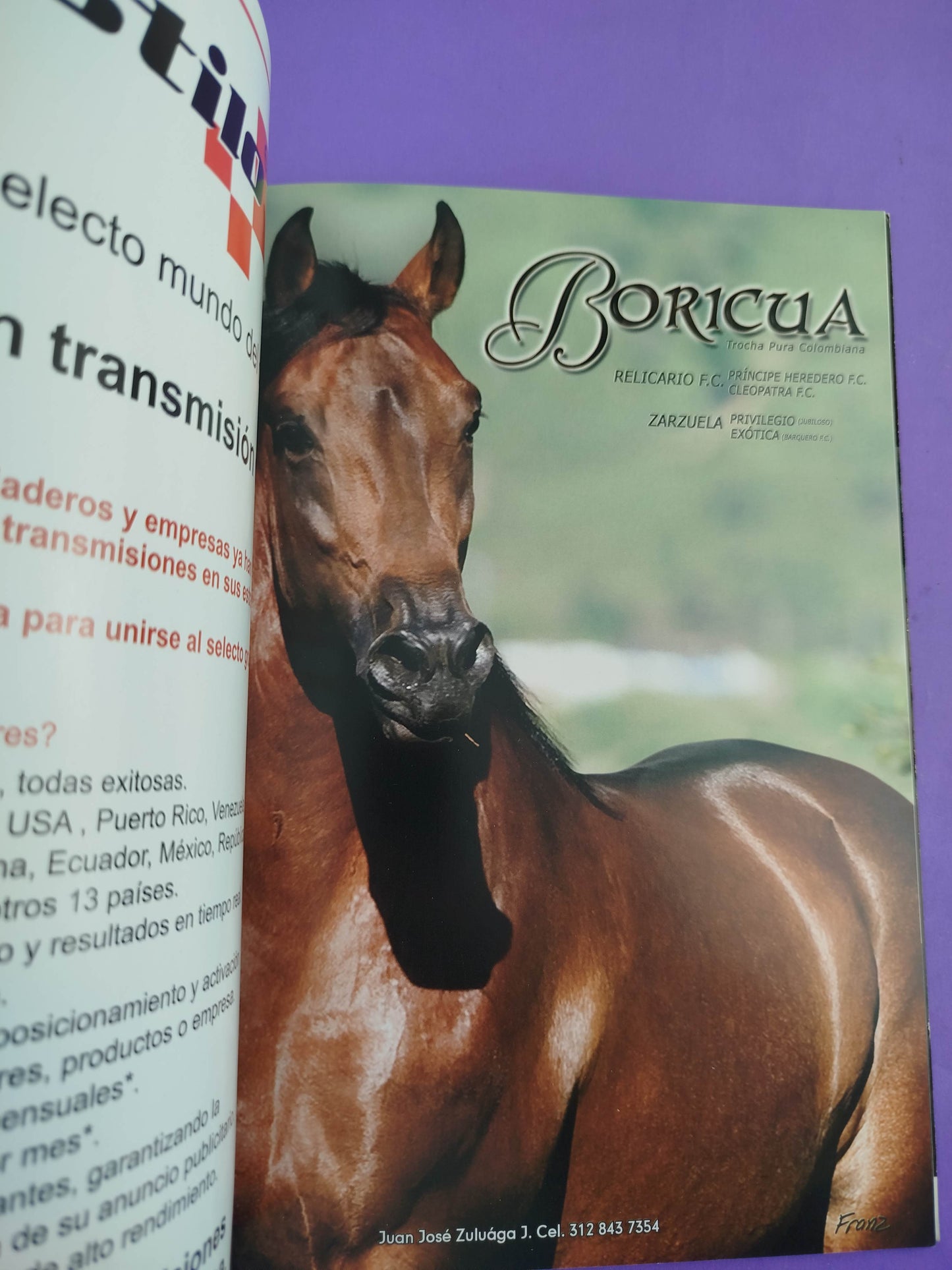 Universo equino. Revista internacional del cabello No.16 by Varios