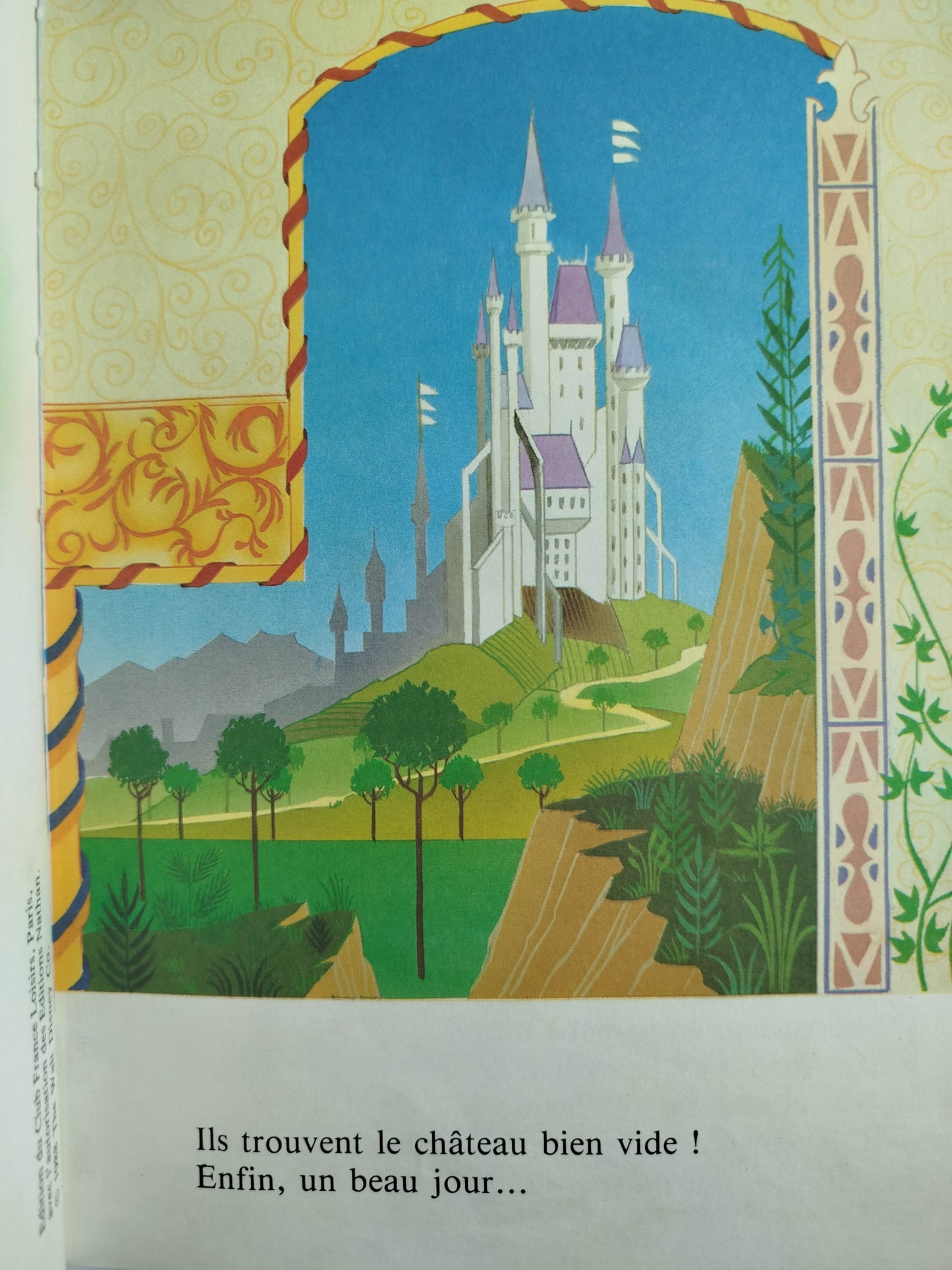 La belle au bois dormant by Waly Disney