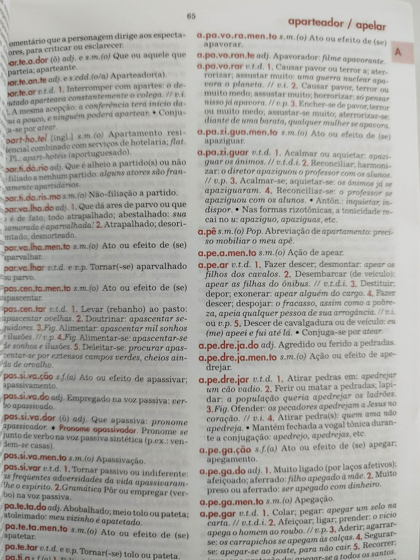 Diccionario essencial da lingua portuguesa by Luis Antonio Sacconi