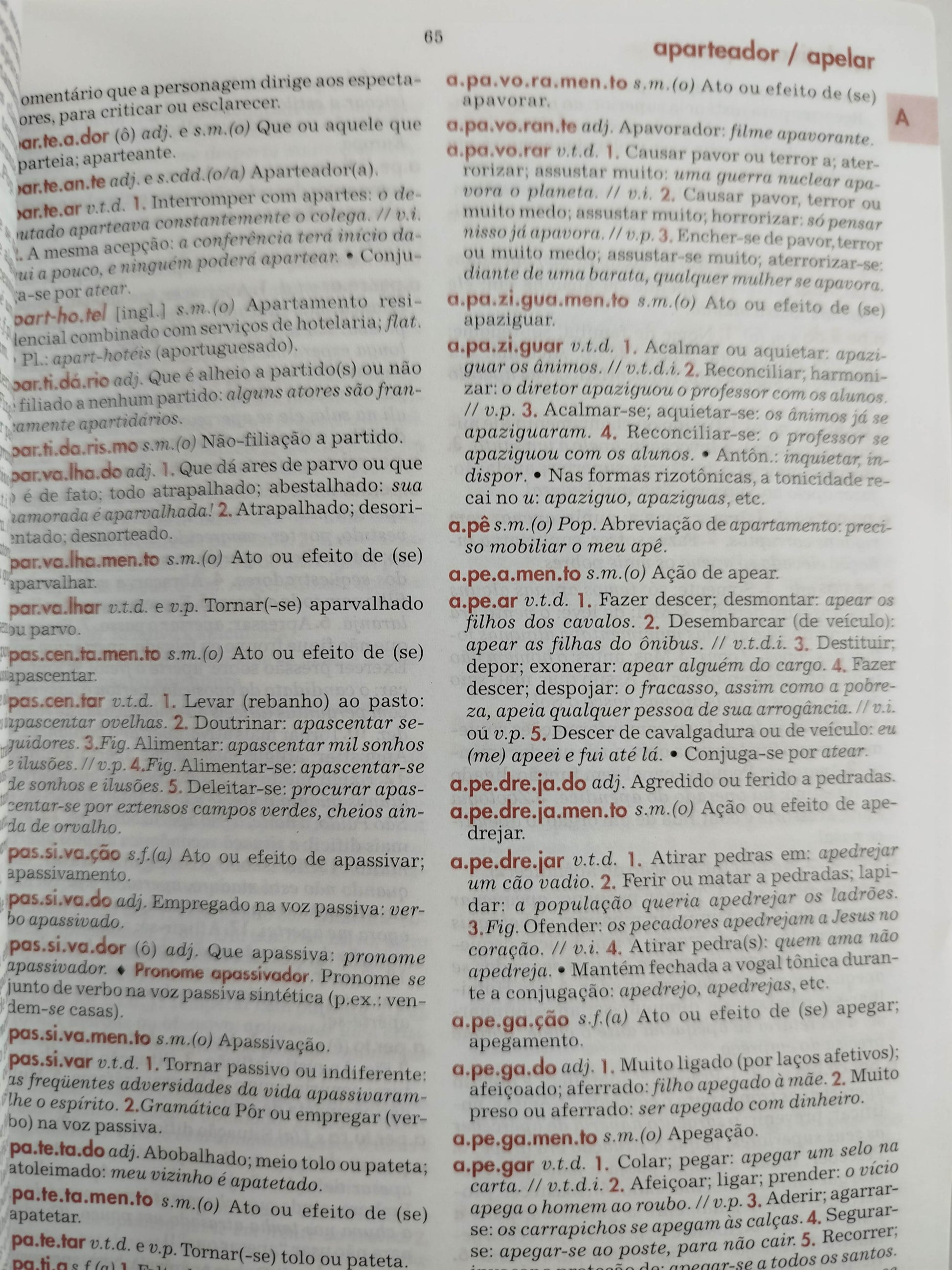 Diccionario essencial da lingua portuguesa by Luis Antonio Sacconi