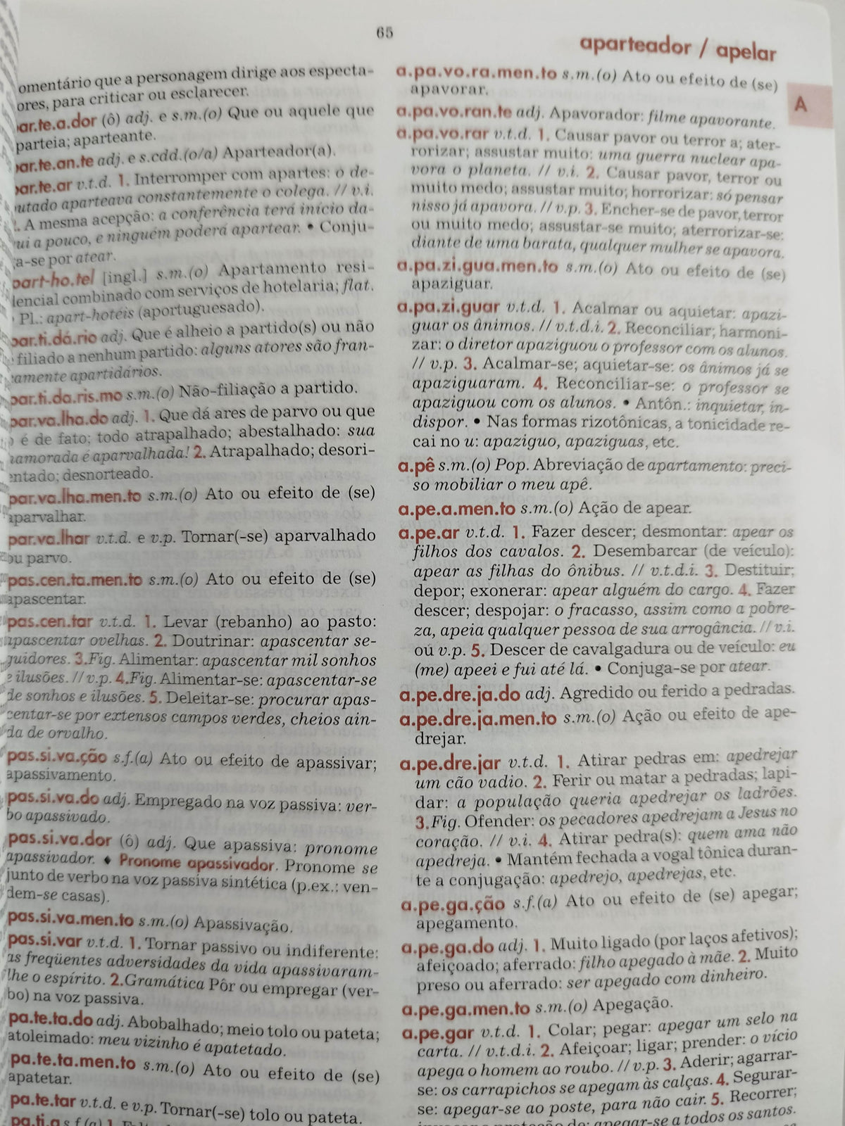 Diccionario essencial da lingua portuguesa by Luis Antonio Sacconi