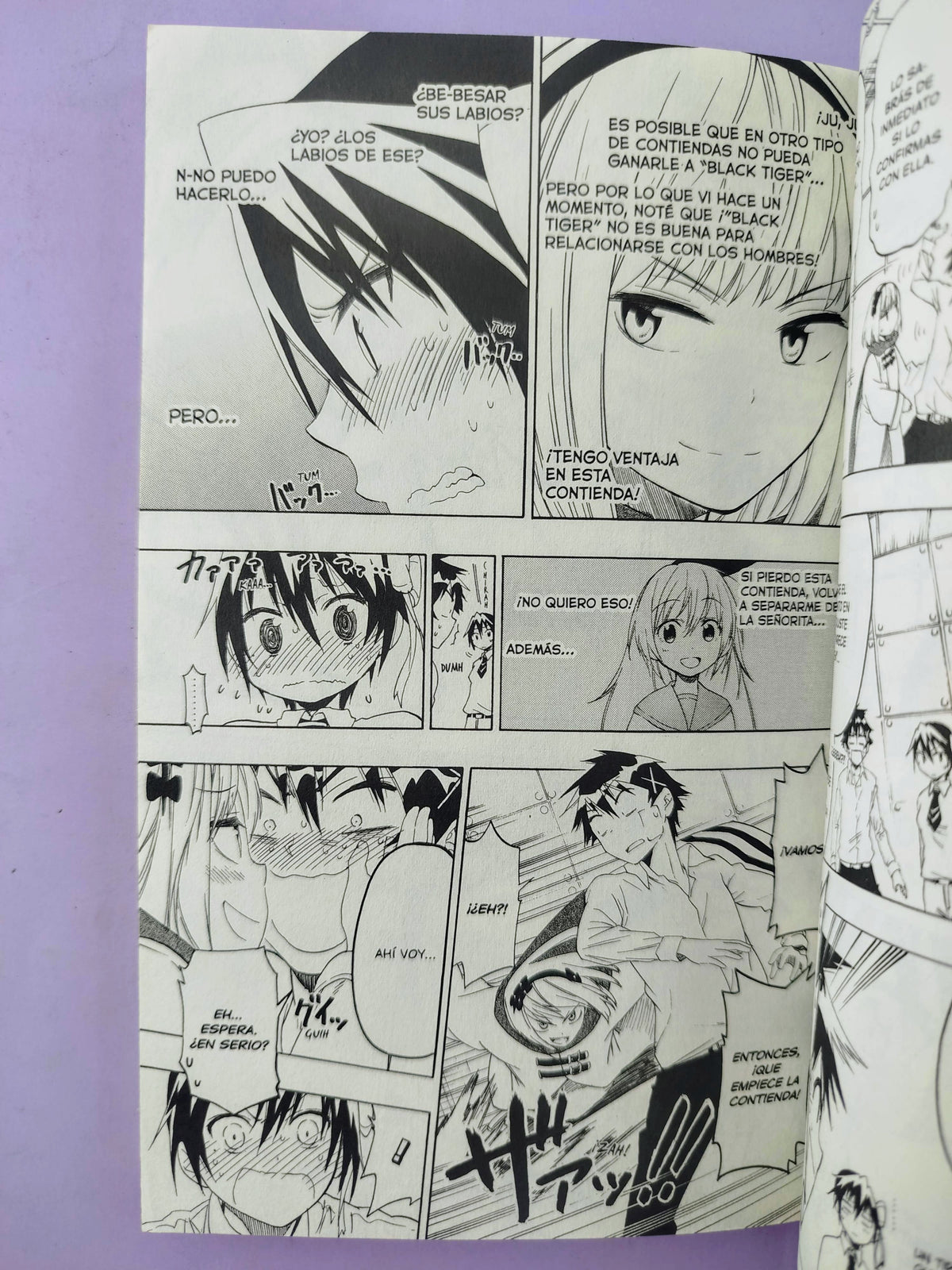 Nisekoi N.7 by Naoshi Komi