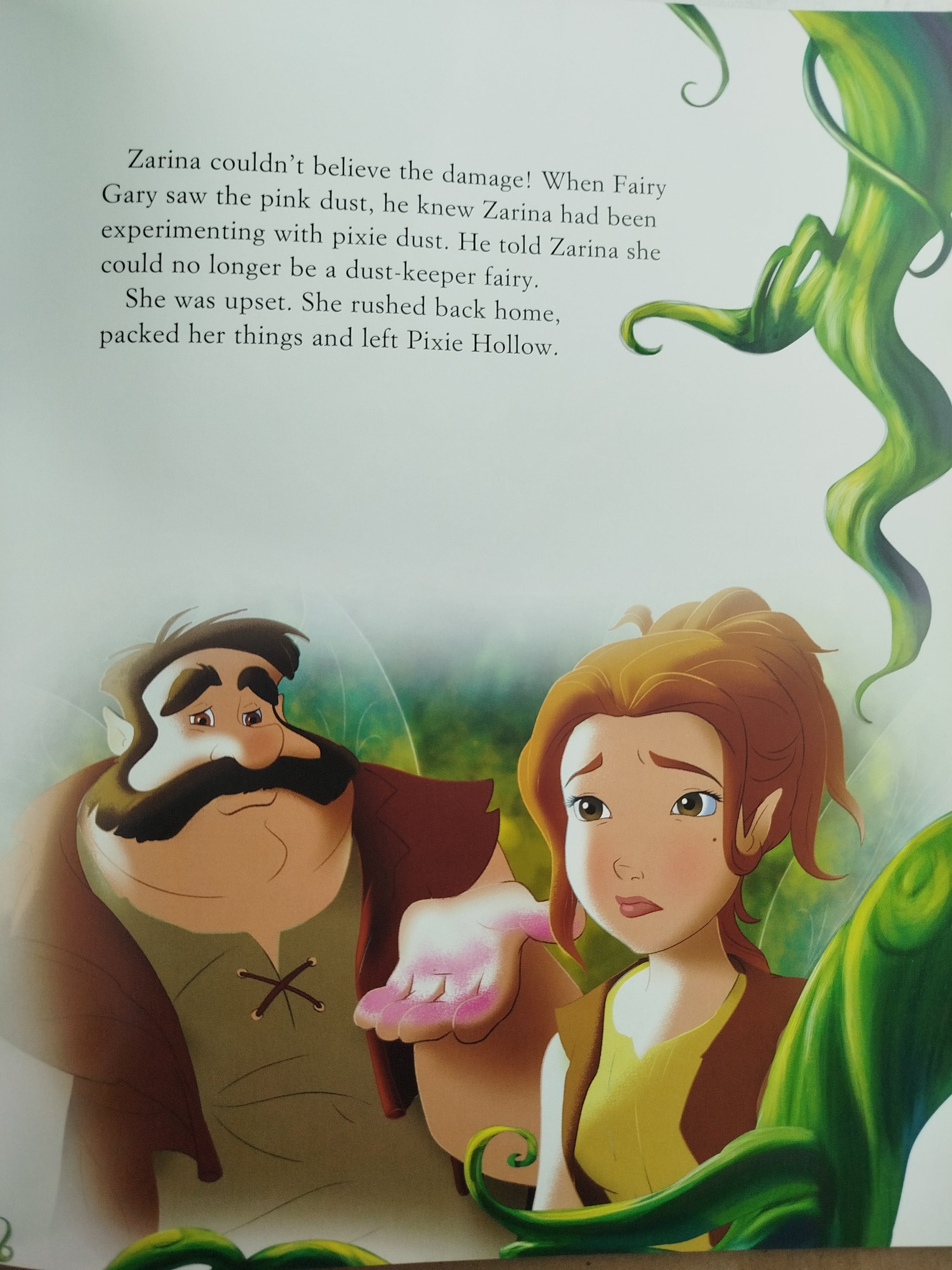 Disney Fairies Tinker Bell and the Pirate Fairy by Varios