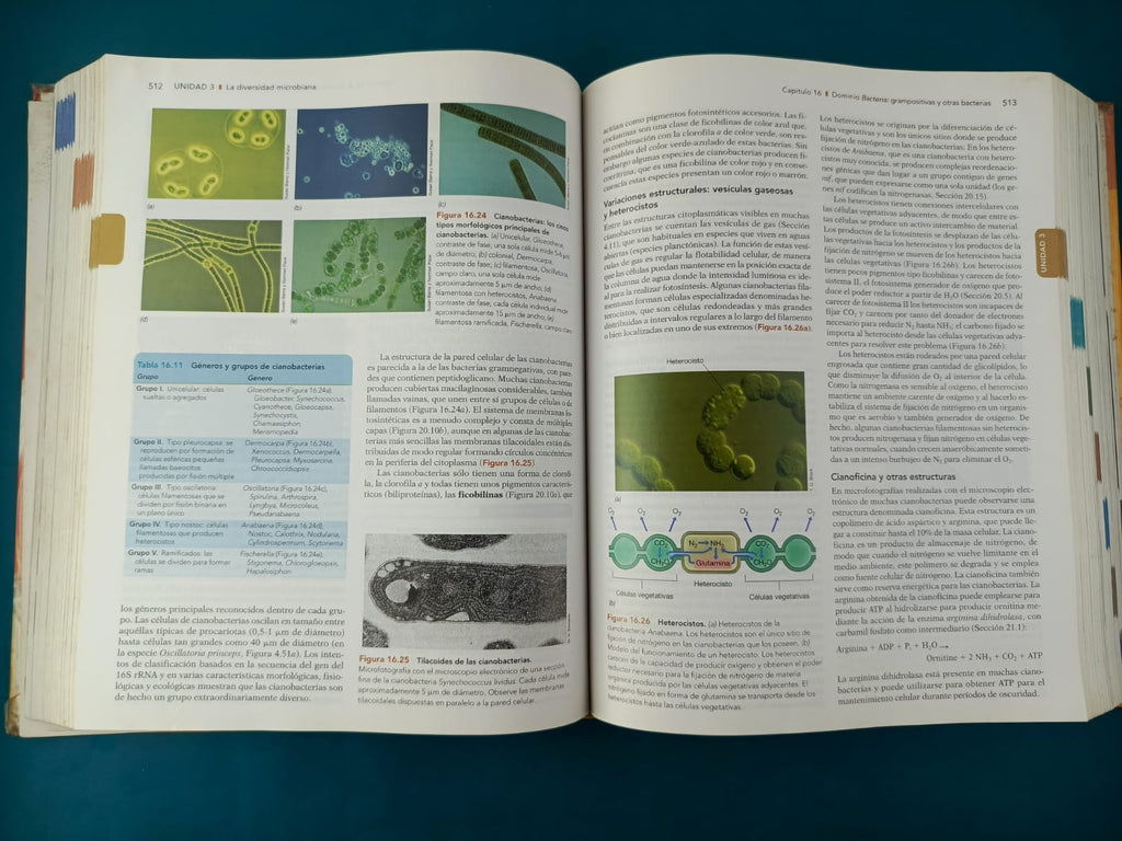Brock Biologia de los microorganismos 12va Ed by John Martinko