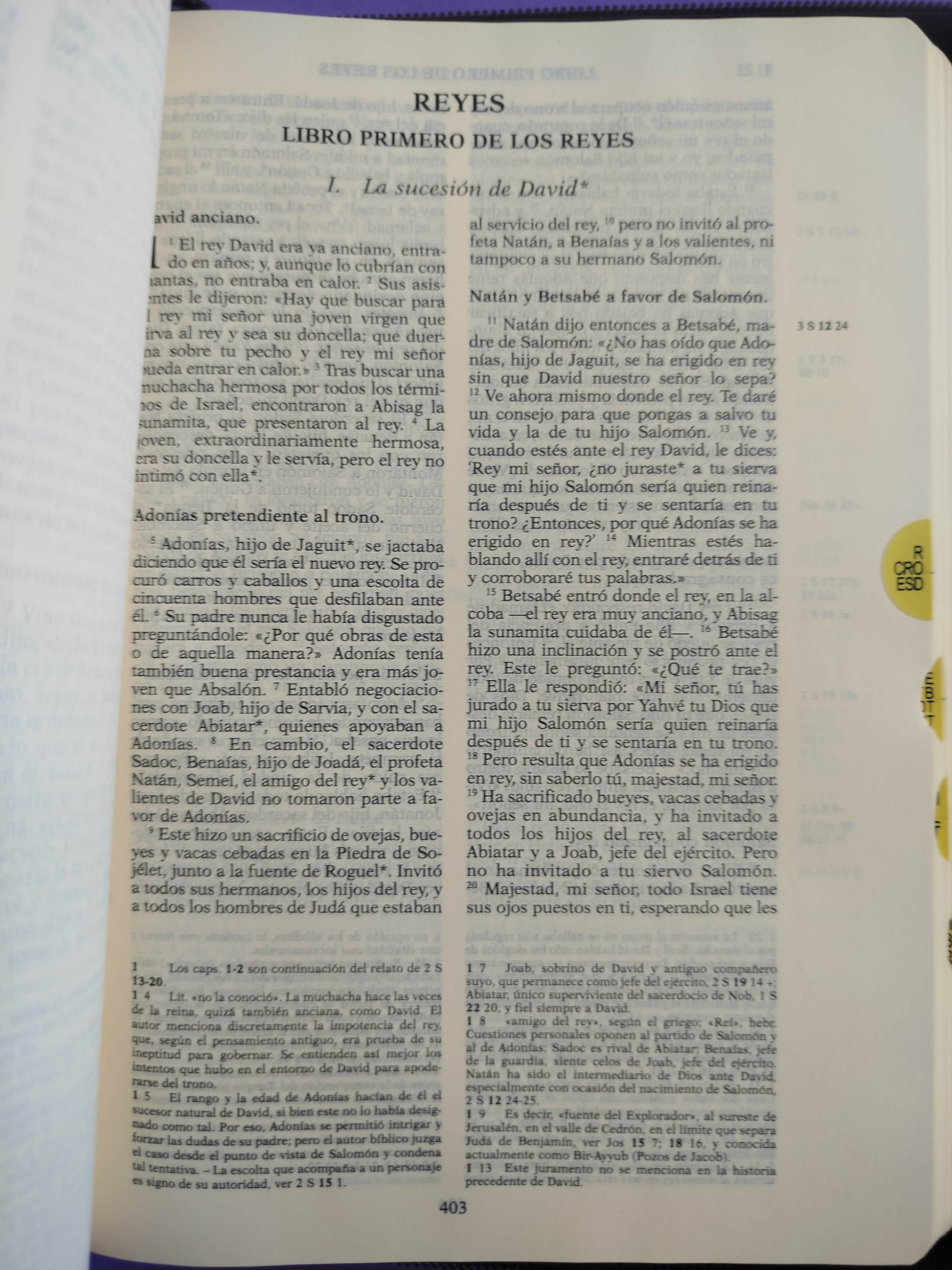 Biblia de Jerusalen 5ª Ed. by Escuela Bíblica de Jerusalén