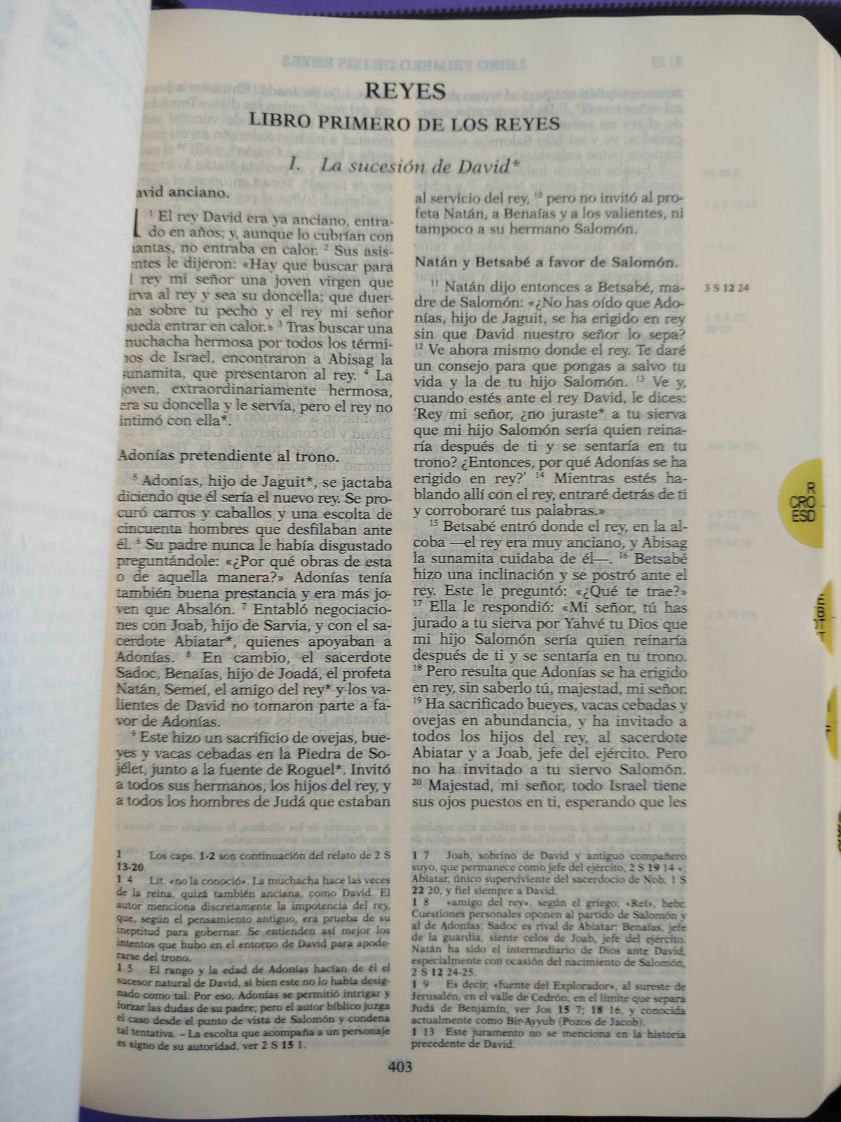 Biblia de Jerusalen 5ª Ed. by Escuela Bíblica de Jerusalén