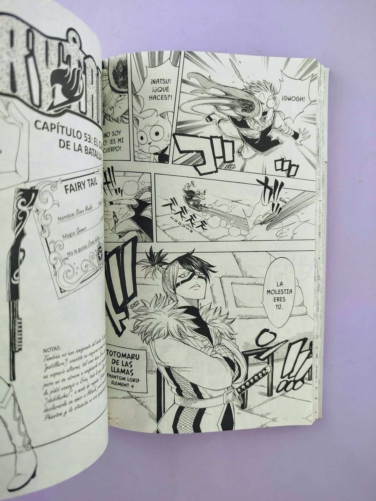 Fairy tail N.7 by Hiro Mashima
