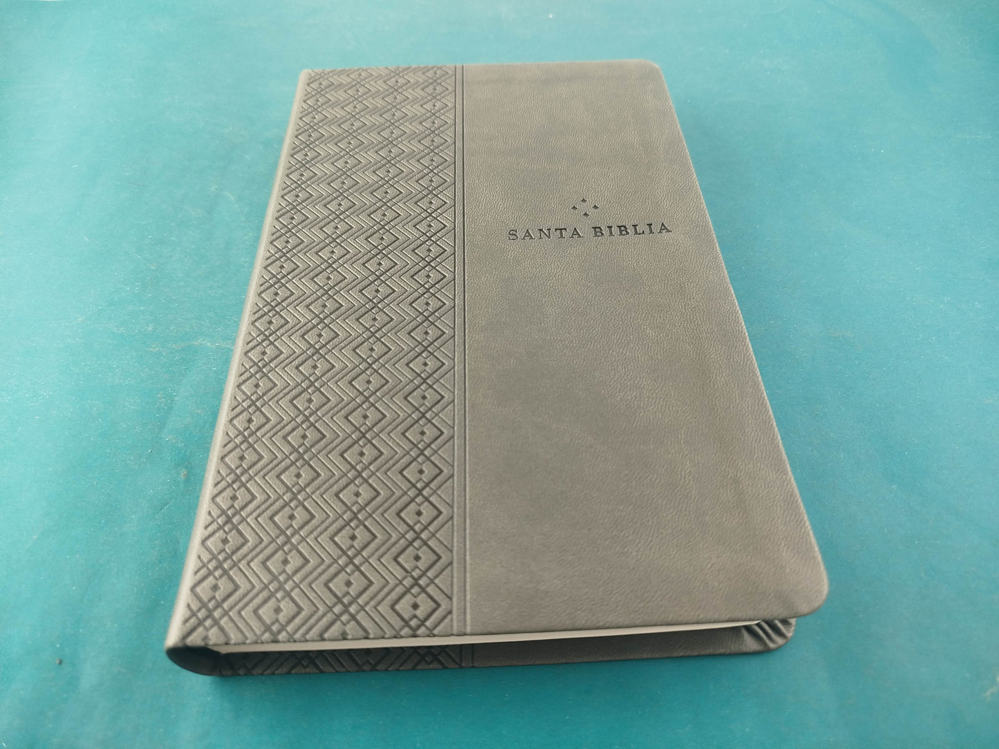 Biblia NTV Filament Gris