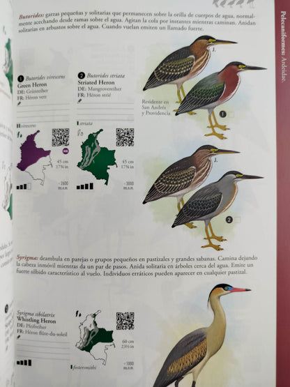 Avifauna colombiana by Fernando Ayerbe