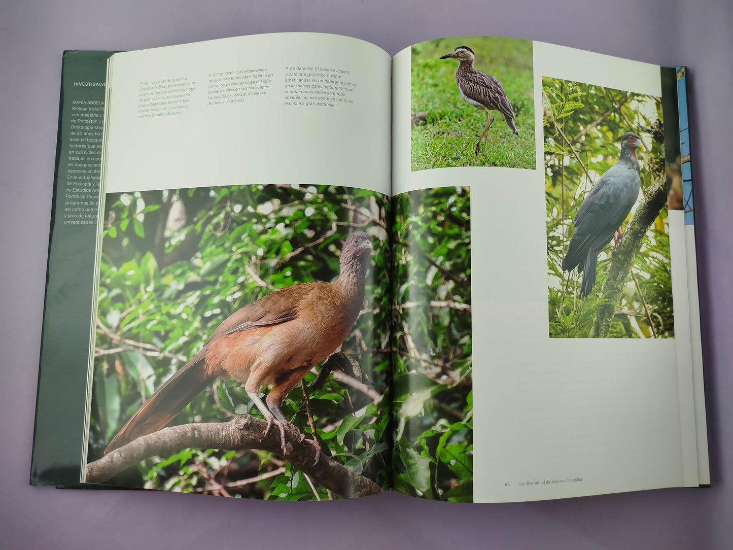 Colombia El Reino De Las Aves
