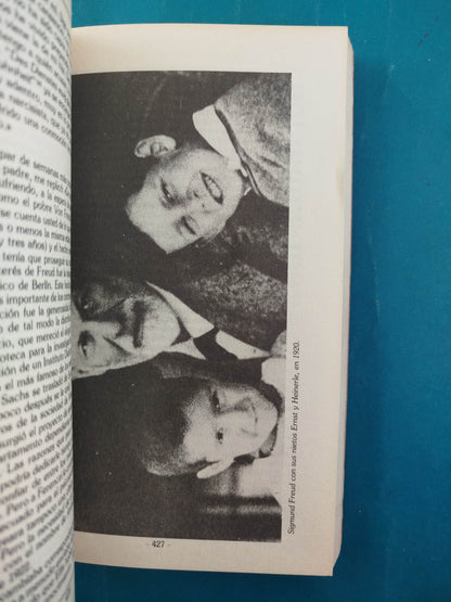 Freud tomo 2