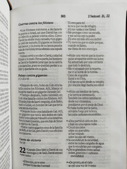 Biblia tla cafe con cierre by Varios