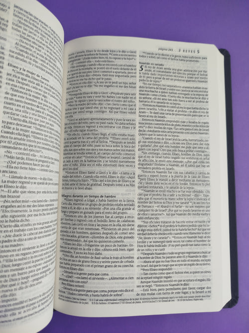 Biblia NTV agape gris by Nueva Traducción Viviente