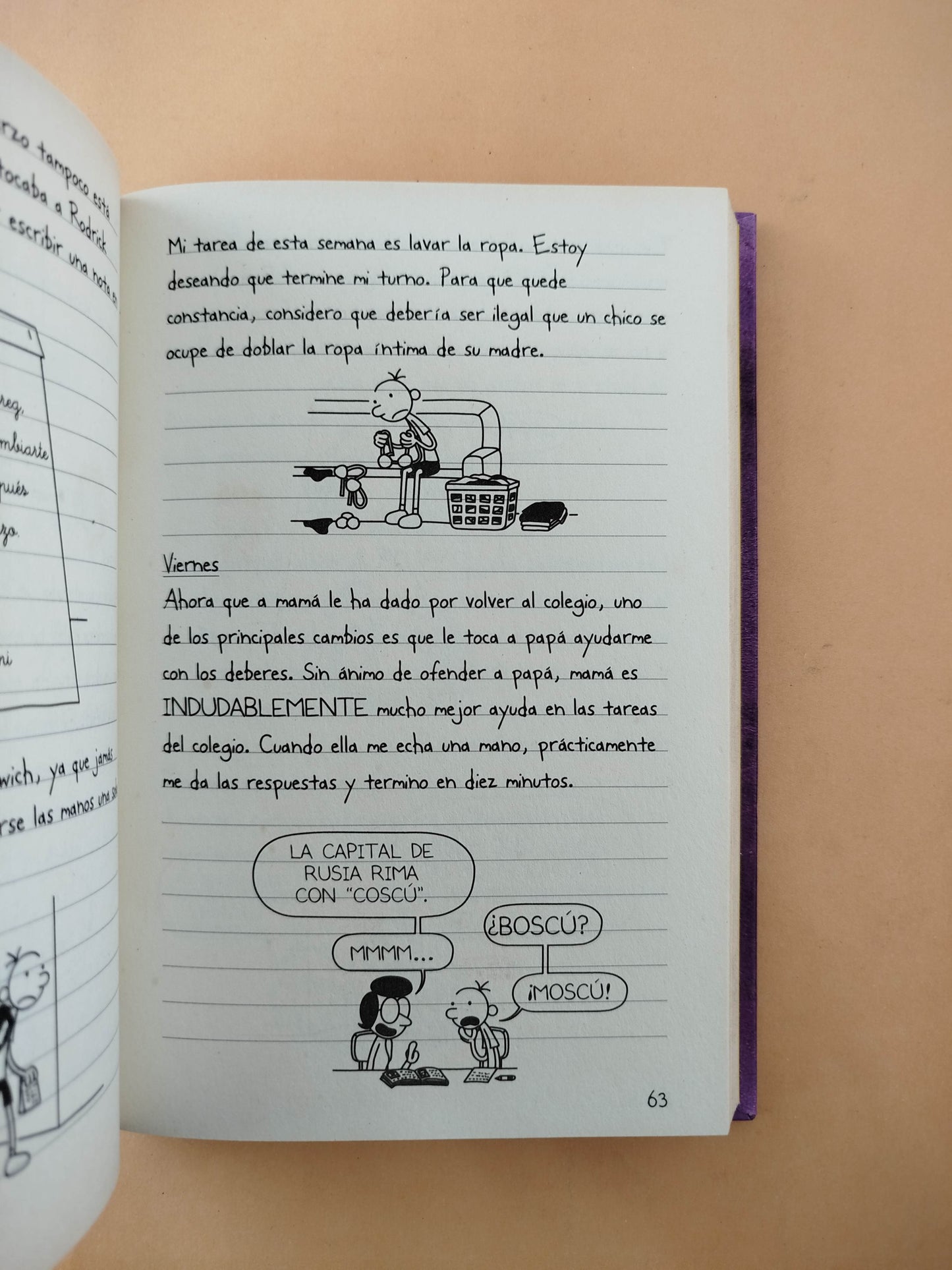 Diario de greg 5 la horrible realidad by Jeff Kinney